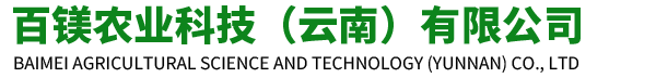 我的網(wǎng)站