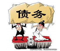 未證明債務用于日常生活所需，不認定為夫妻共同債務